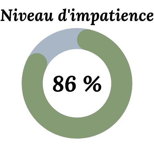 Niveau d'impatience : 86%