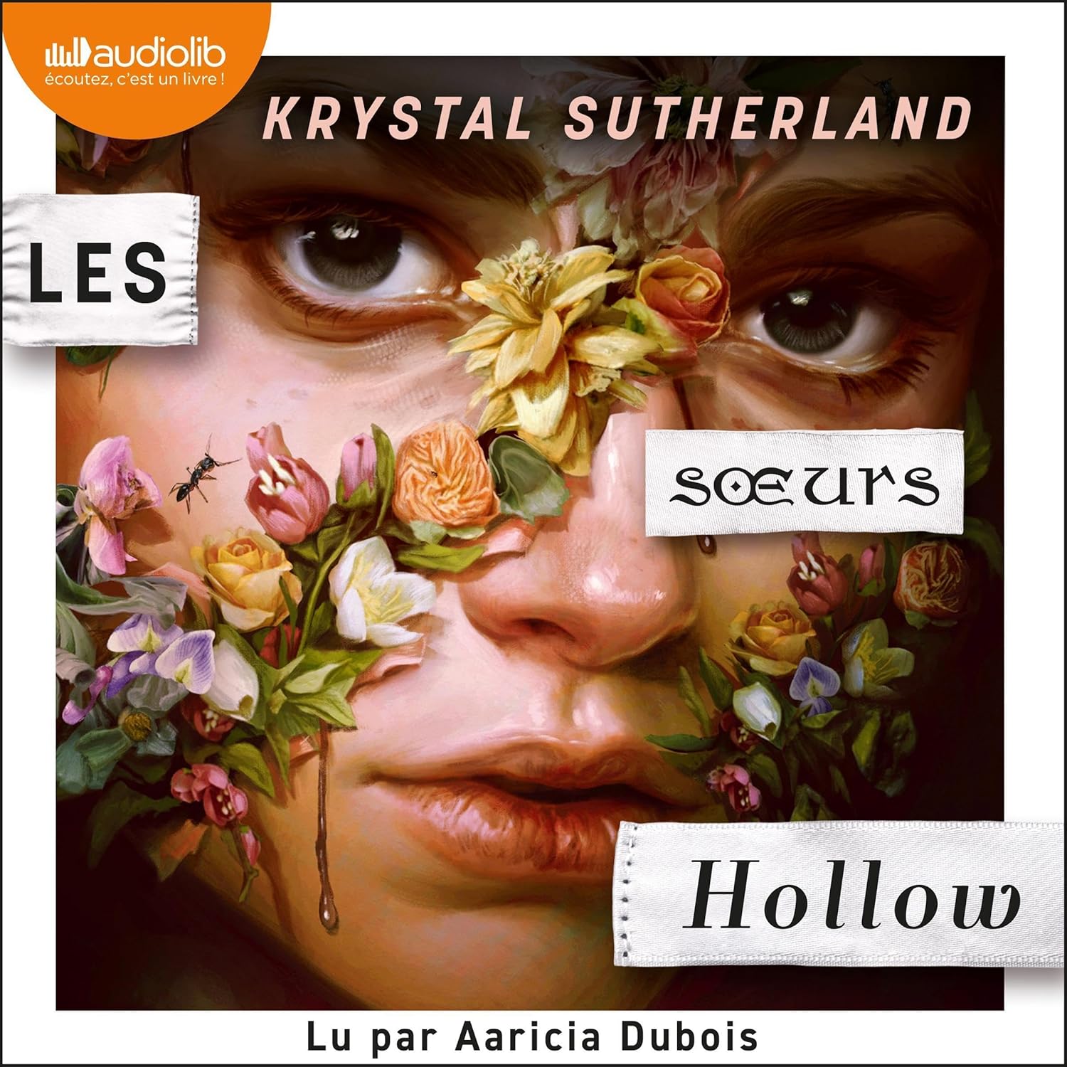 Couverture du livre audio Les Sœurs Hollow de Krystal Sutherland