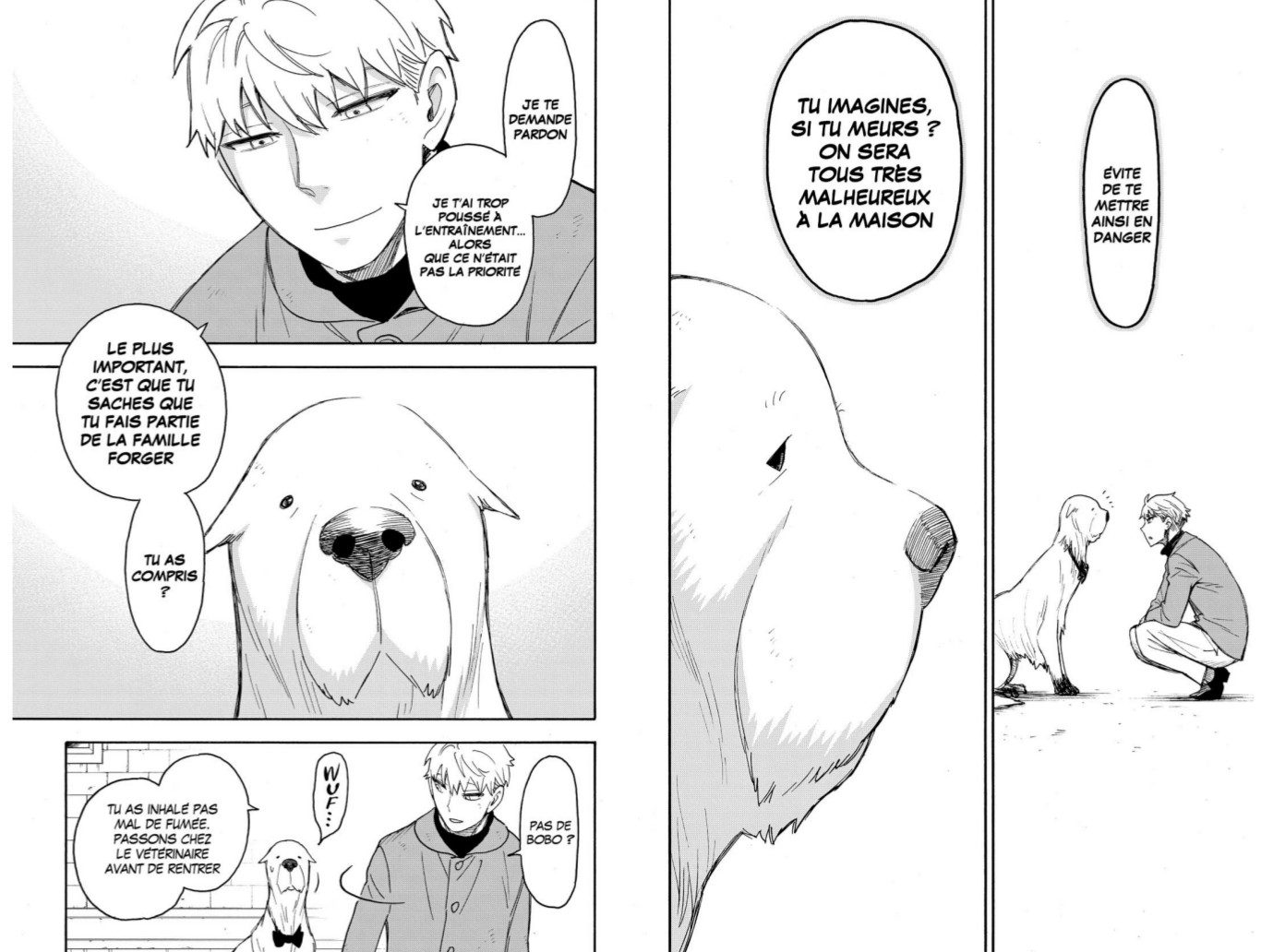 Avis Lecture | Spy x Family - Tome 9, de Tatsuya Endō