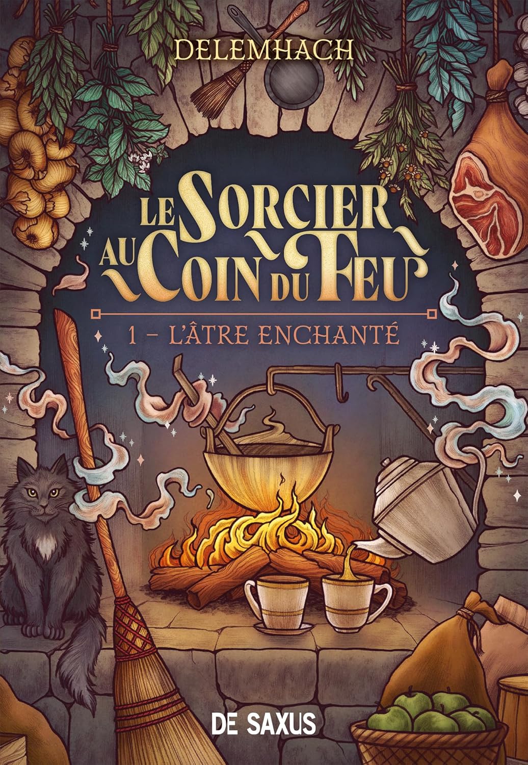 Couverture du livre Le Sorcier au coin du feu, le Tome 1 : L'Âtre Enchanté, de Delemhach